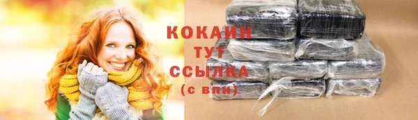 бошки Краснослободск