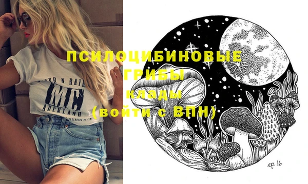 метадон Осташков