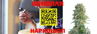крисы Гуково