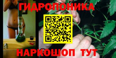 крисы Гуково