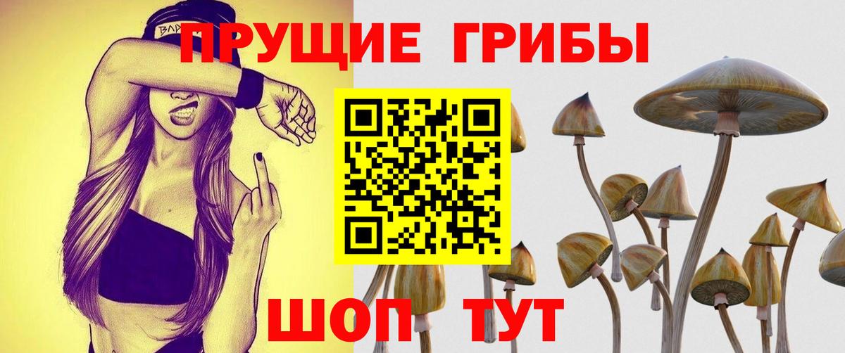 Галлюциногенные грибы Magic Shrooms  Вход с VPN  Моршанск 